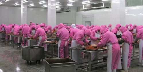 食品加工廠潮濕環(huán)境下橡膠制品的維護與解決方案